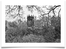 Lymm Dam - Chris Beesley